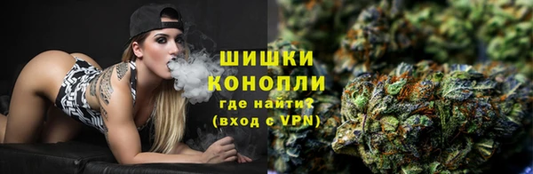 PSILOCYBIN Покров