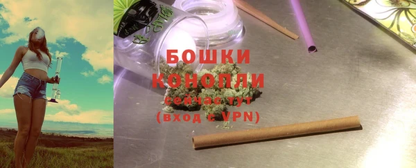 PSILOCYBIN Покров