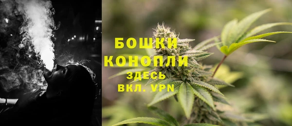 прущий лед Пестово