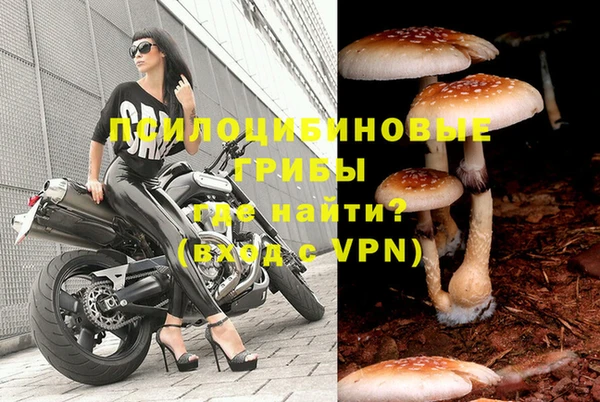 PSILOCYBIN Покров