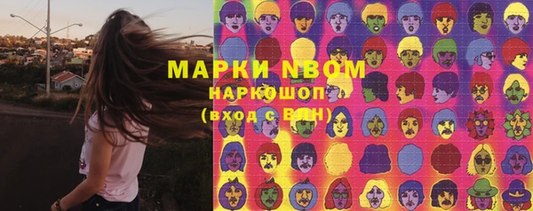 PSILOCYBIN Покров