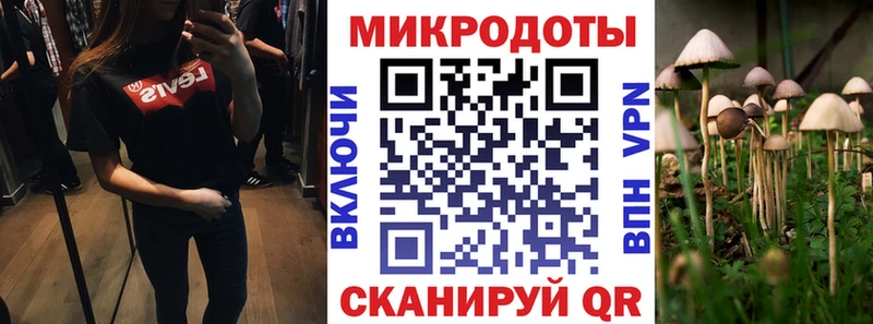 Галлюциногенные грибы мицелий Амурск
