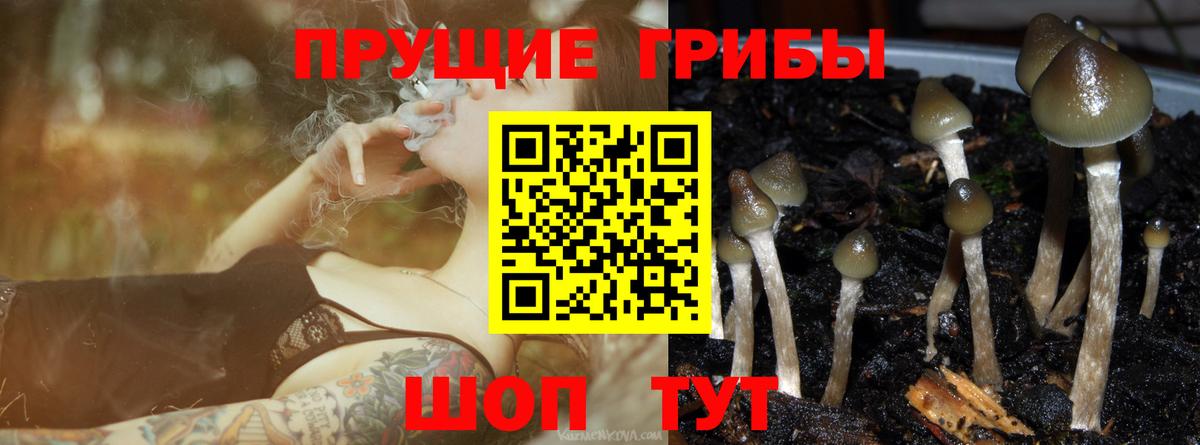 Псилоцибиновые грибы Cubensis  Вход с VPN  Галлюциногенные грибы ЛСД  Амурск 
